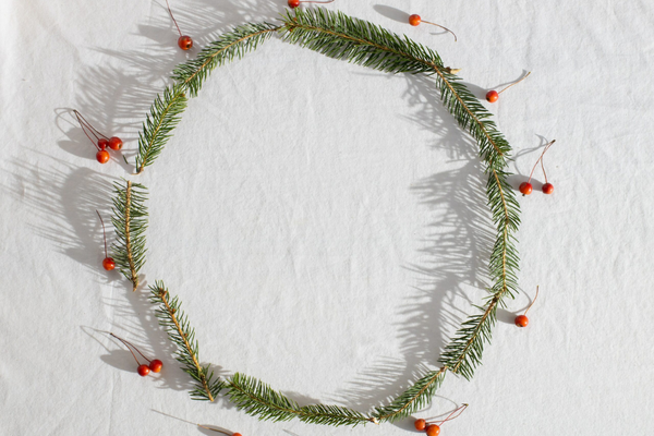 Cinco consejos para unas navidades más sostenibles